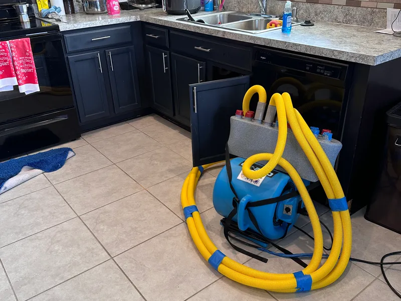 Interior cleanup and remediation conditions
